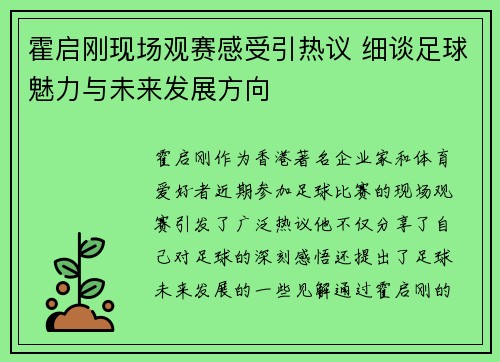霍启刚现场观赛感受引热议 细谈足球魅力与未来发展方向
