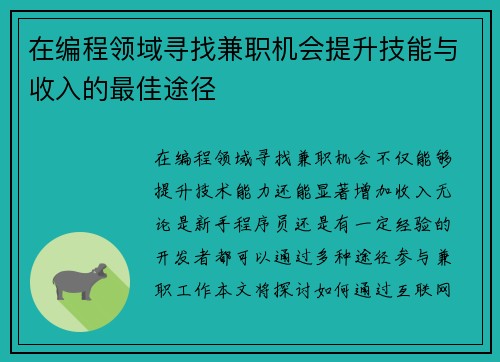 在编程领域寻找兼职机会提升技能与收入的最佳途径